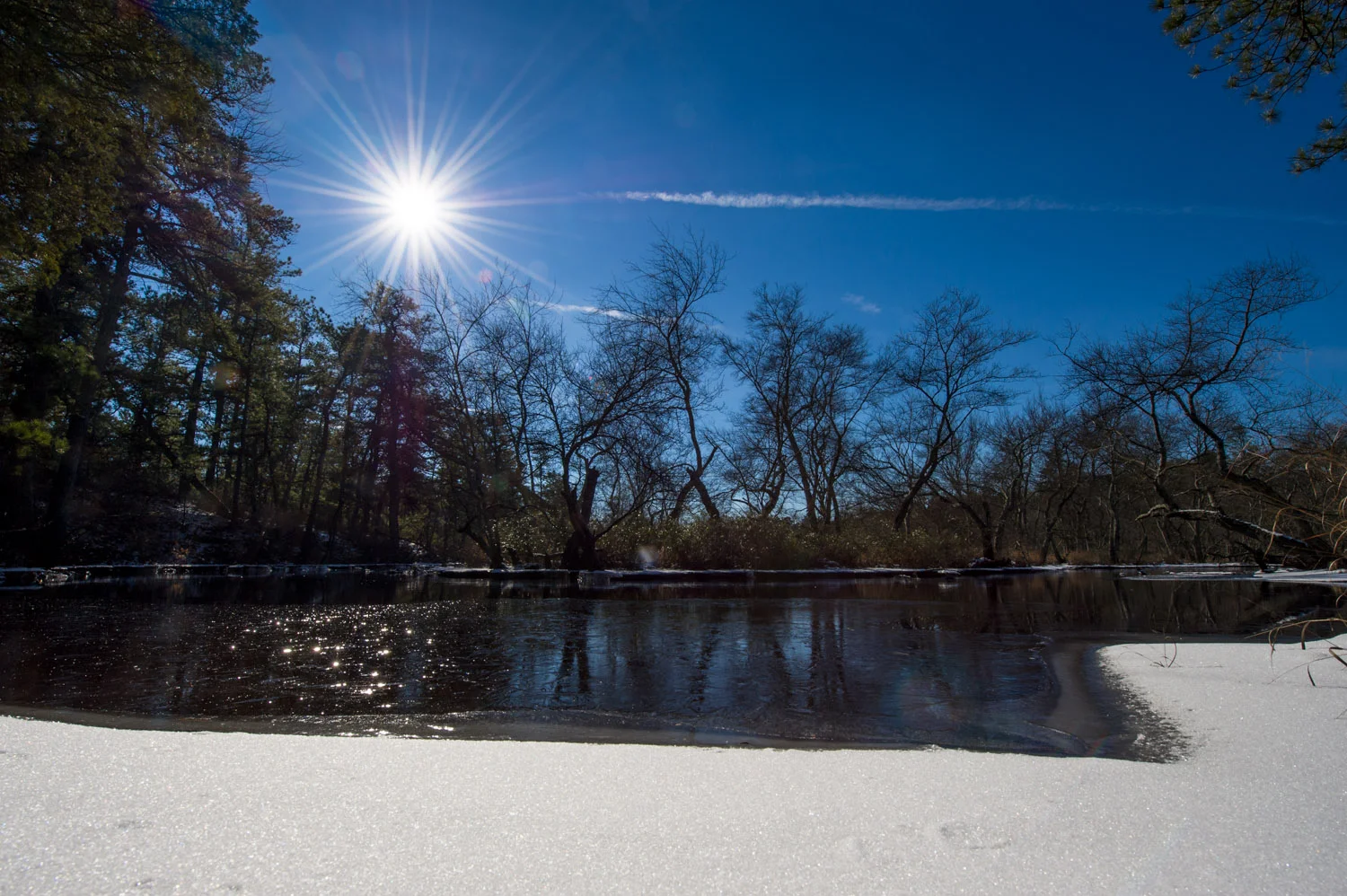 The Mullica River at Wharton State Forest in the NJ Pine Barrens.