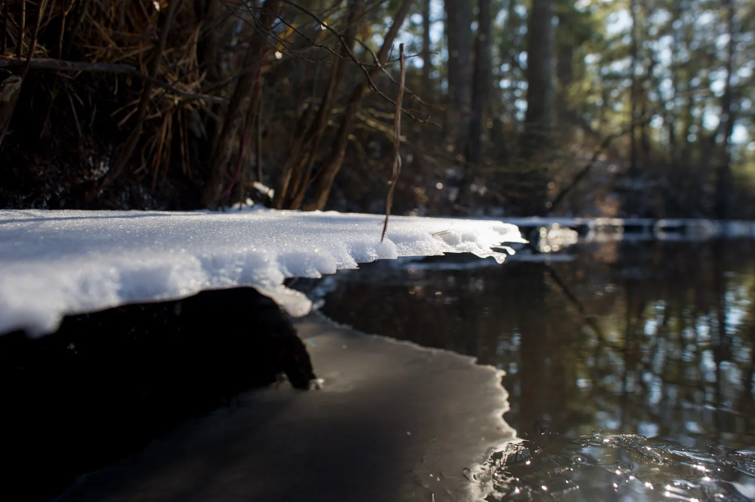Not sure how this happened but a shelf of ice and snow hung a good foot over the river bank.