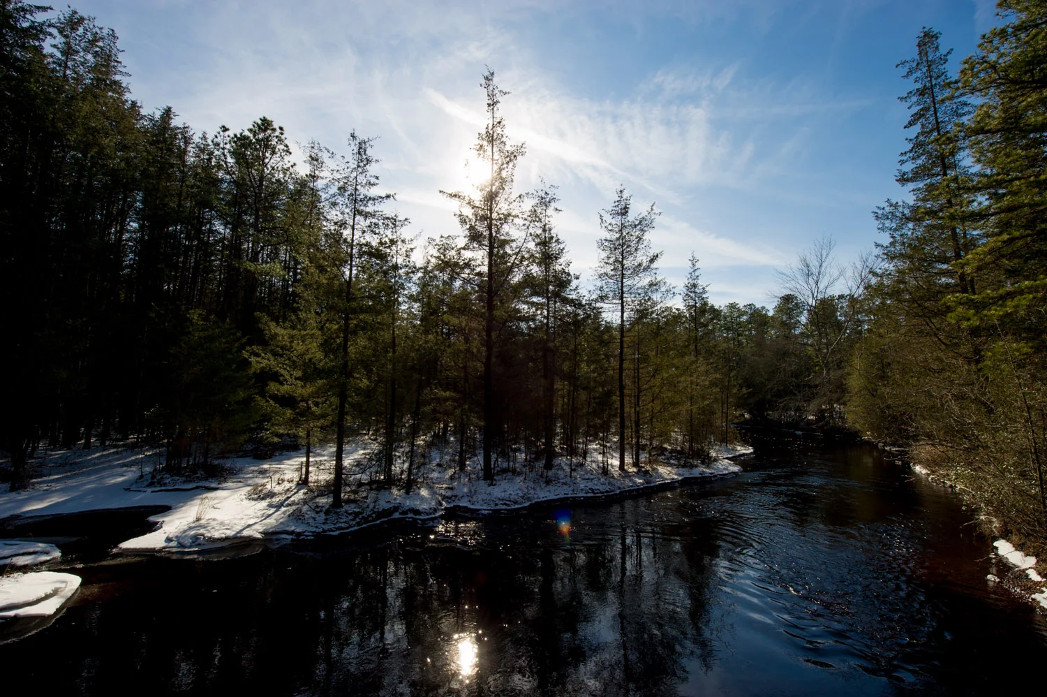 At the right angle the Mullica River looks a deep black color. Taken at Wharton State Forest in the NJ Pine Barrens.