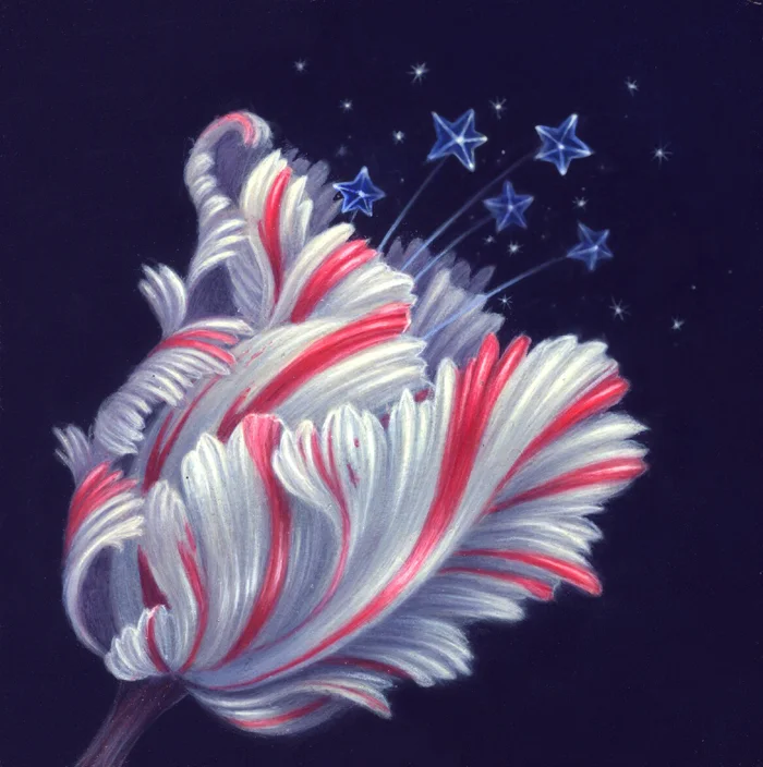 Ex Pluribus, Floribus