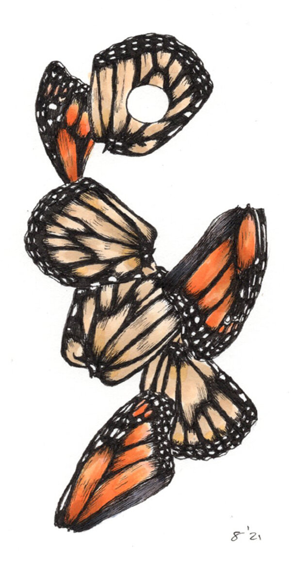 Monarch Wings 