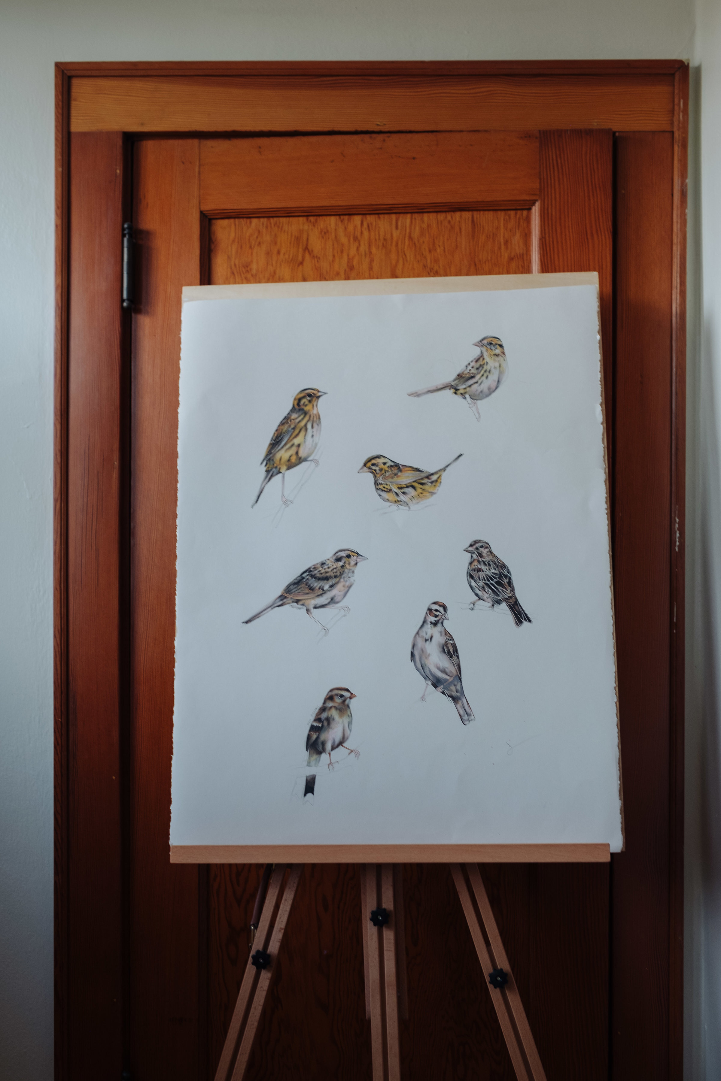 sevensparrows.jpg