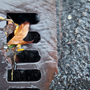 Blocked Drains Chelmsford