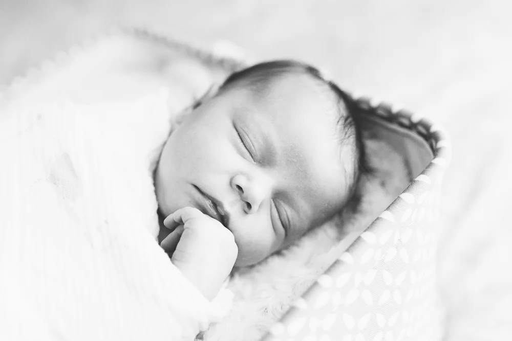 grace_isla-17.jpg