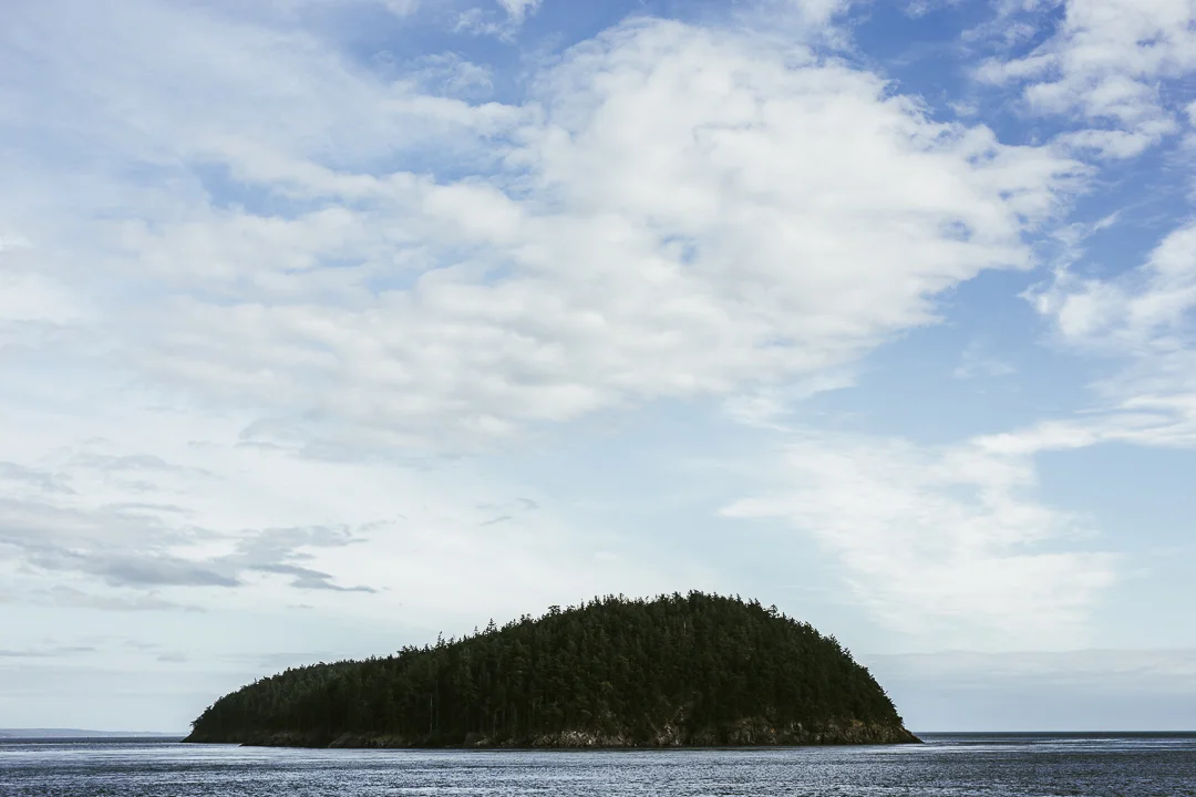 Orcas_blog-32.jpg
