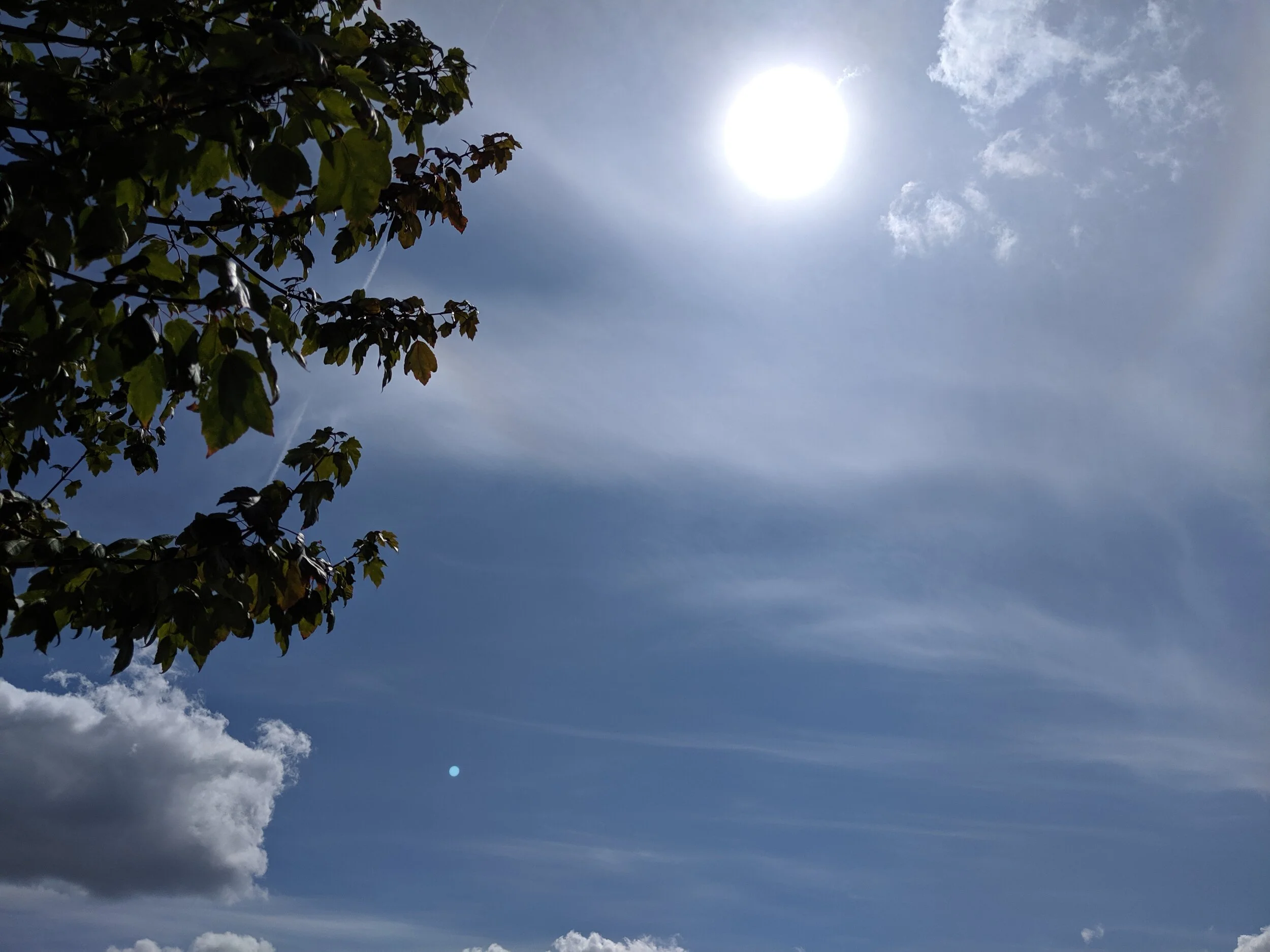 IMG_20190724_143519.jpg