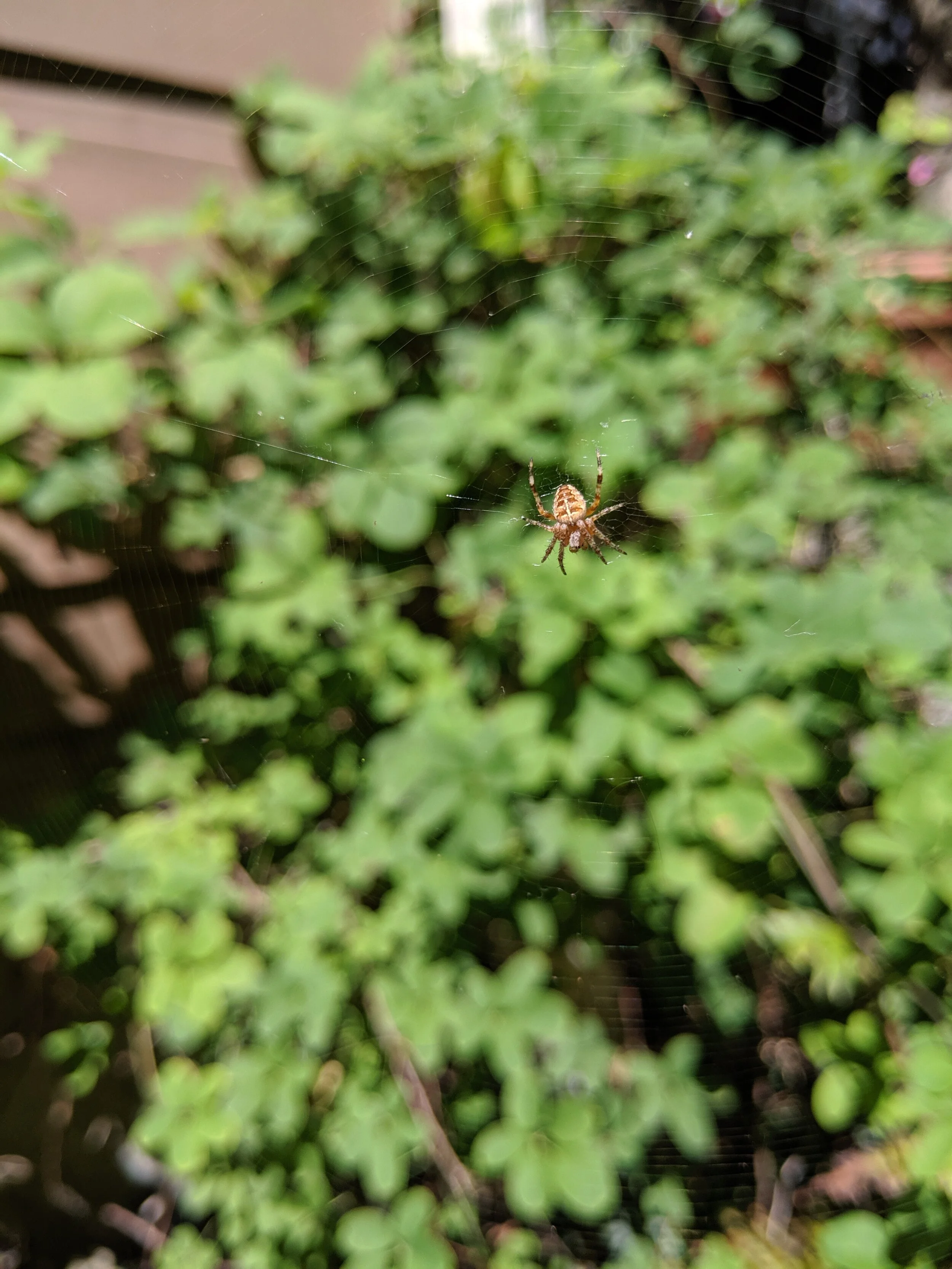IMG_20190804_141518.jpg