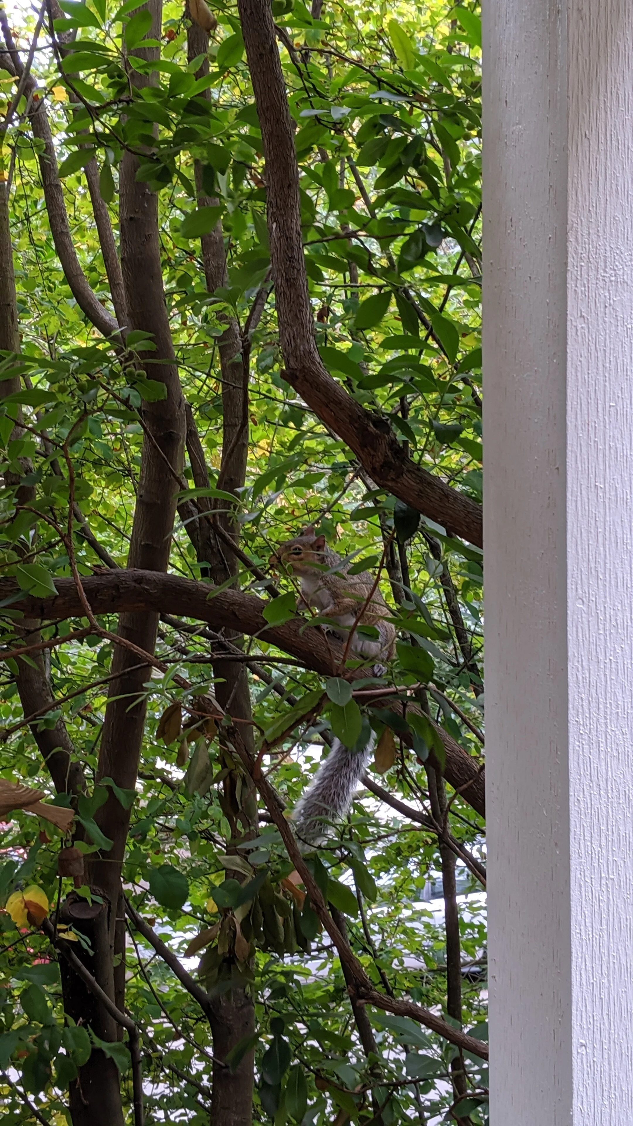 IMG_20190914_163146.jpg