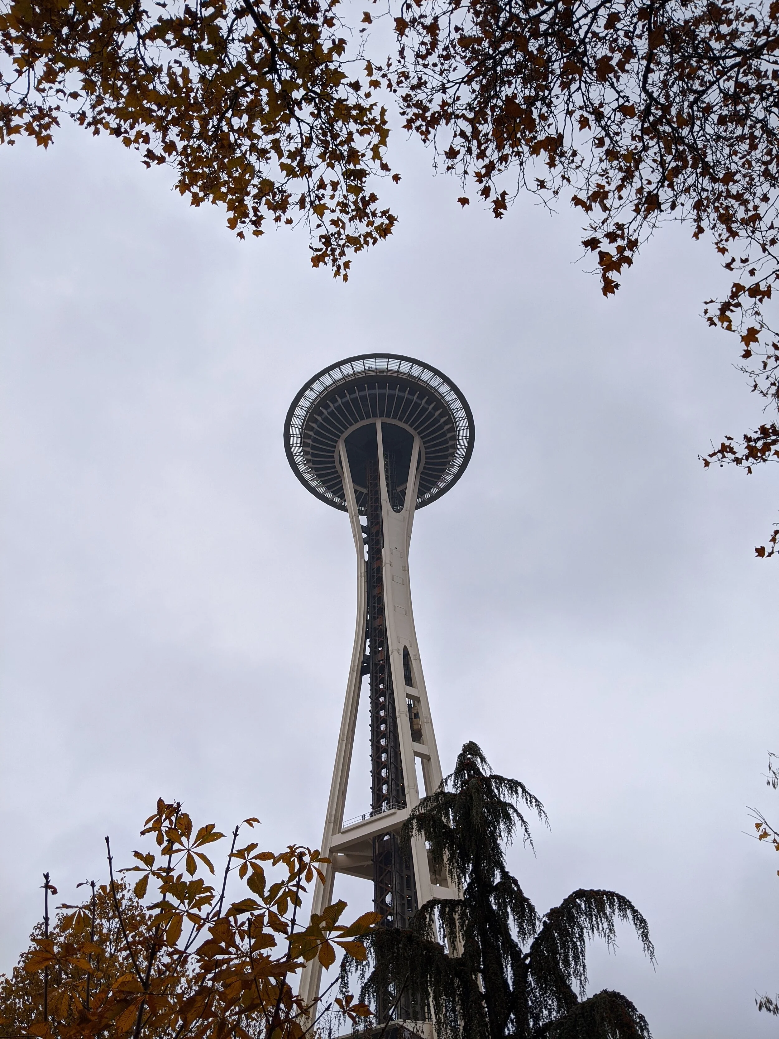 IMG_20191109_123914.jpg