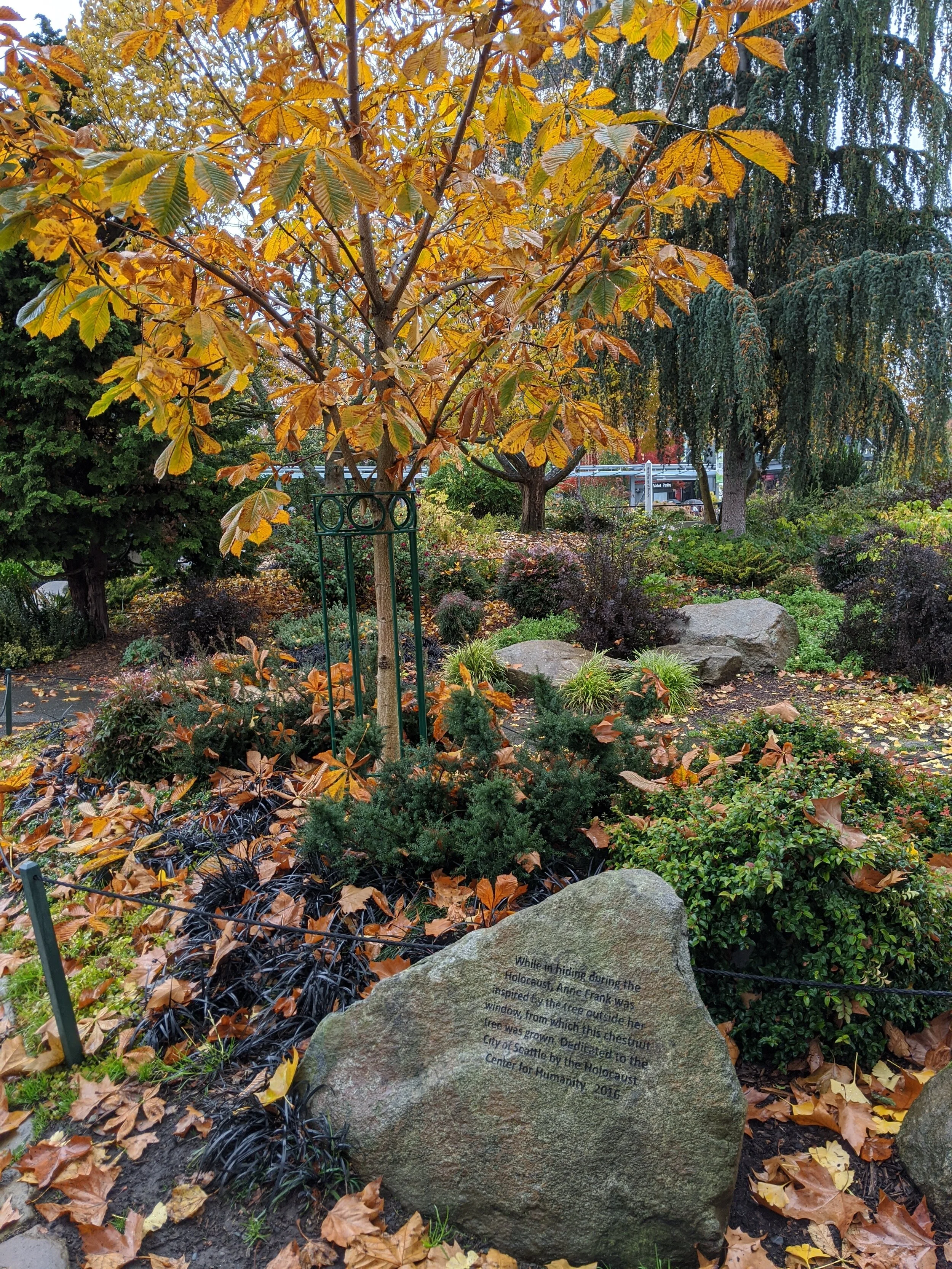 IMG_20191109_123944.jpg