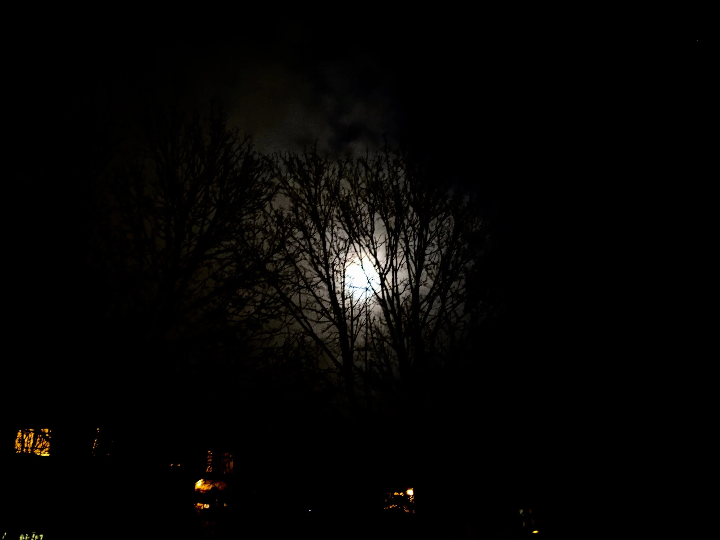 IMG_20200307_191750.jpg