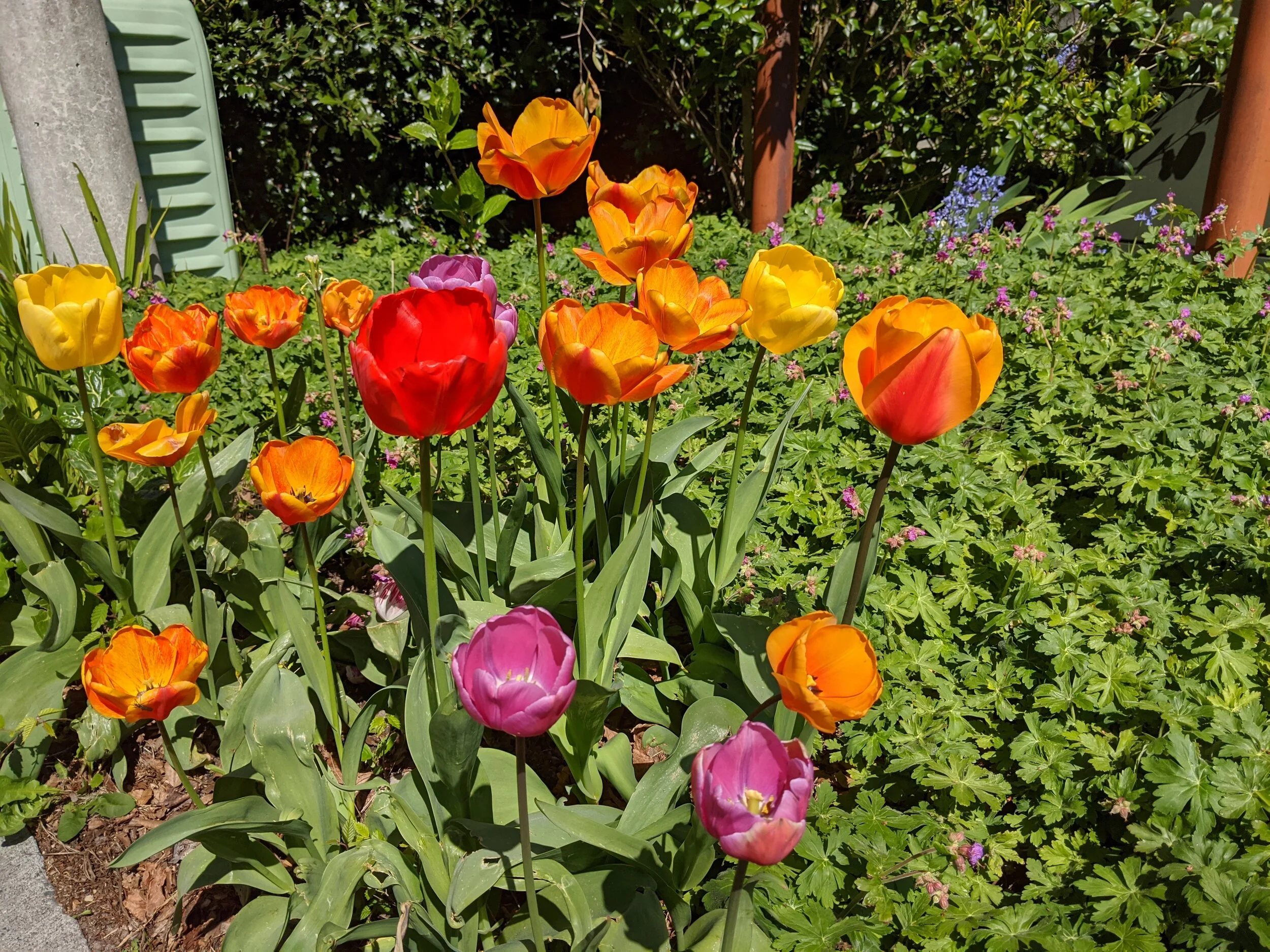 IMG_20200413_130639.jpg