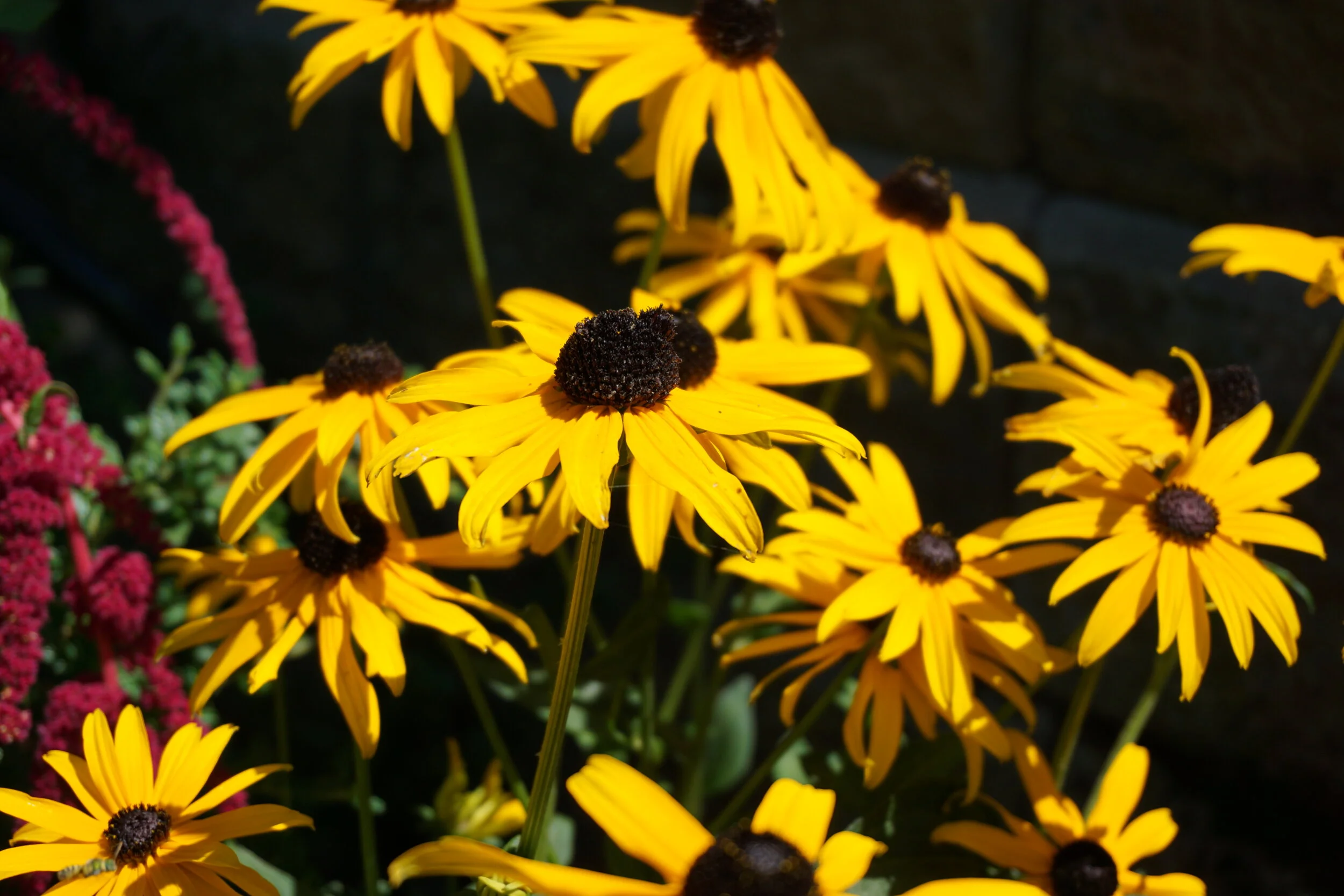 DSC00108.JPG