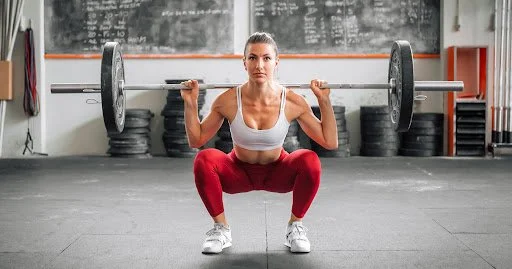 Barbell Back Squat