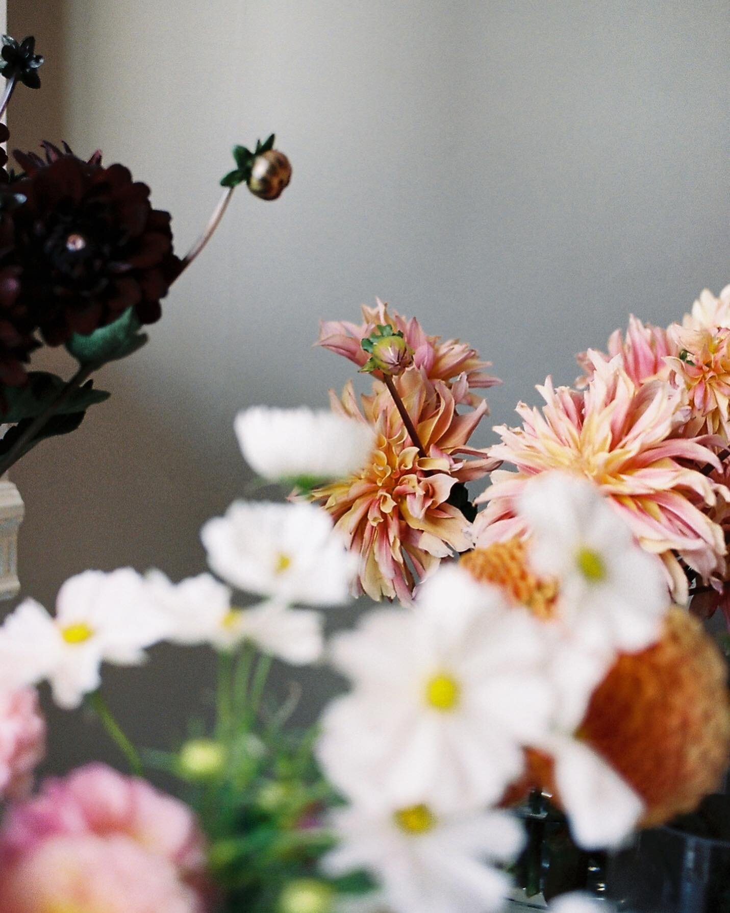 I feel overwhelmed and depressed, sorry. 
It&rsquo;s Monday, it&rsquo;s a beautiful early spring day, no clouds, It&rsquo;s cold but extremely nice.
I will buy some flowers later on. 🌸💜🤍
Shot on #kodakportra400 #kodakfilm #filmphotography