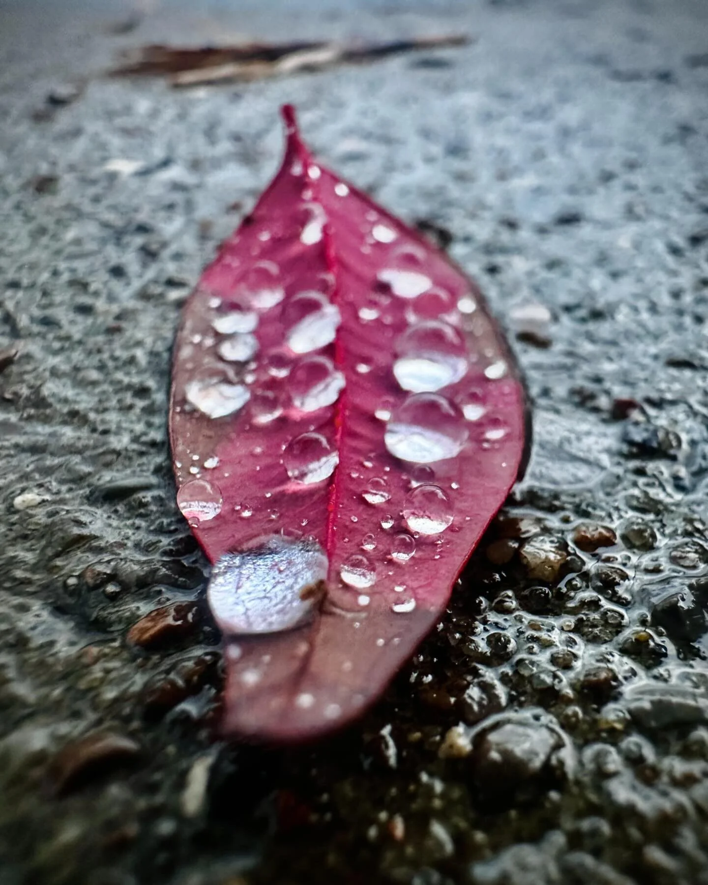 Spotted on the sidewalk