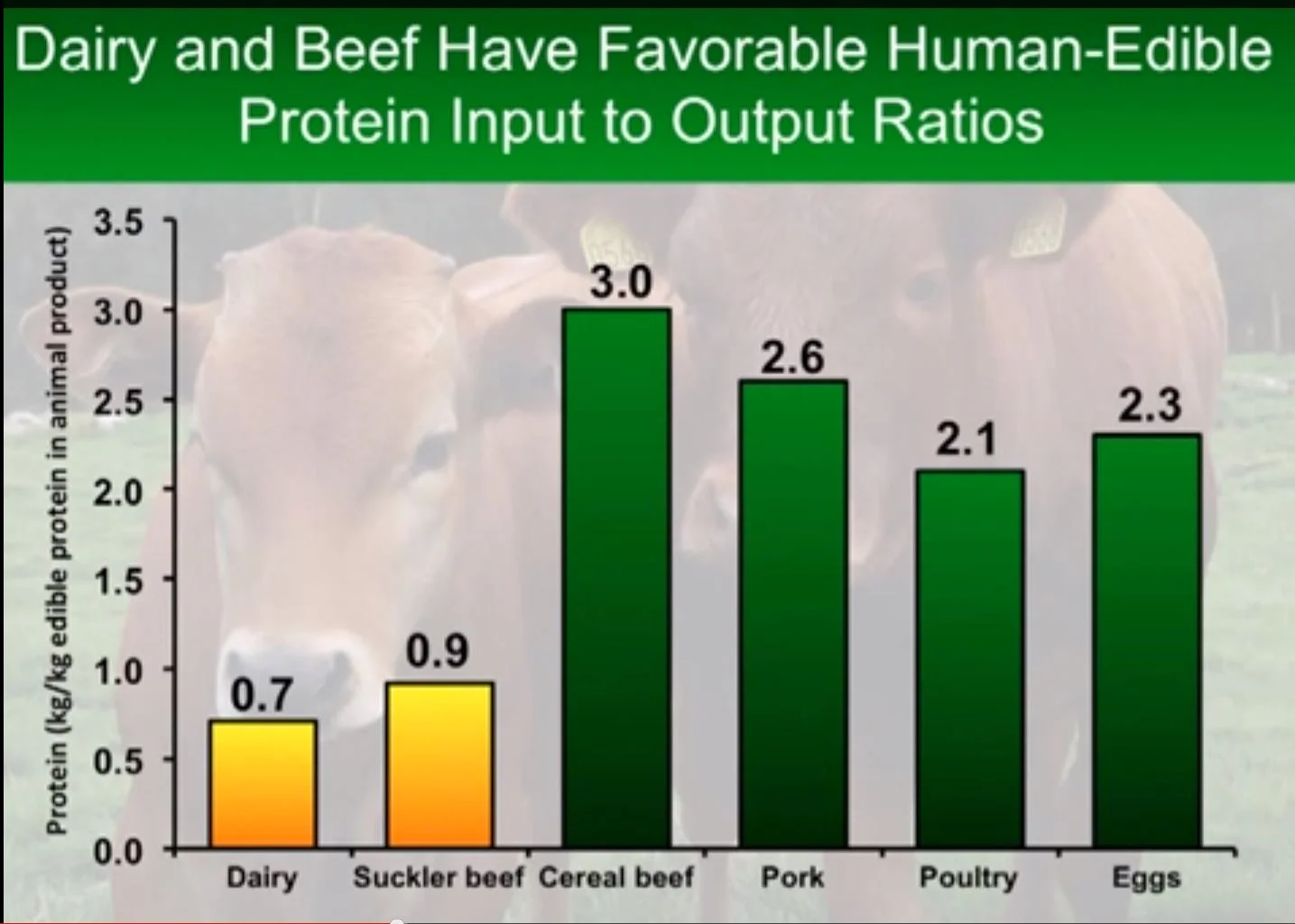 beefdairyedibleratios.JPG