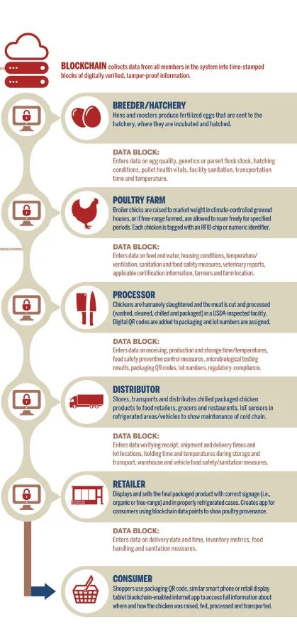 blockchain_poultry.JPG