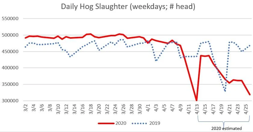 hogslaughter2020_3.JPG