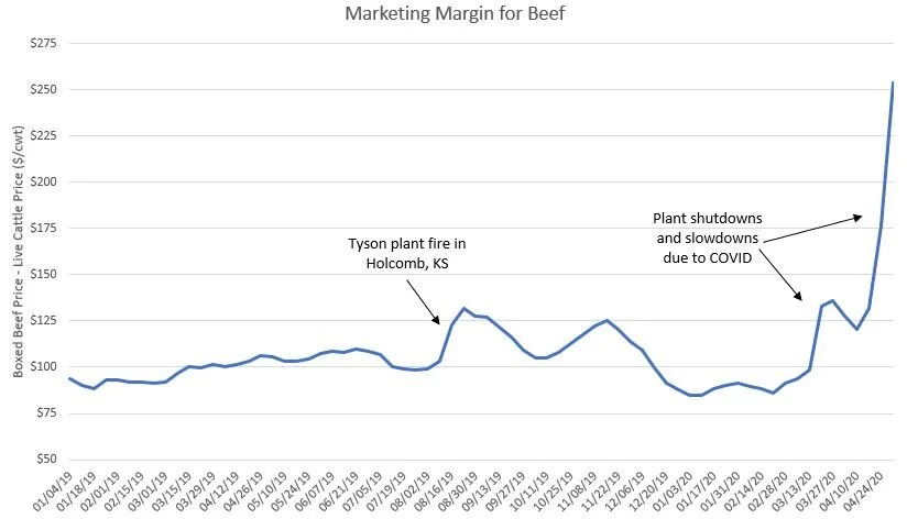 beef_marketingmargin.JPG