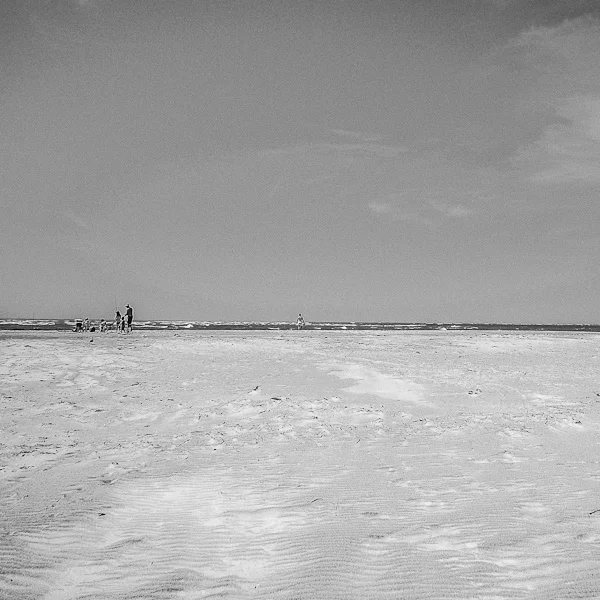 DSCF2419.jpg