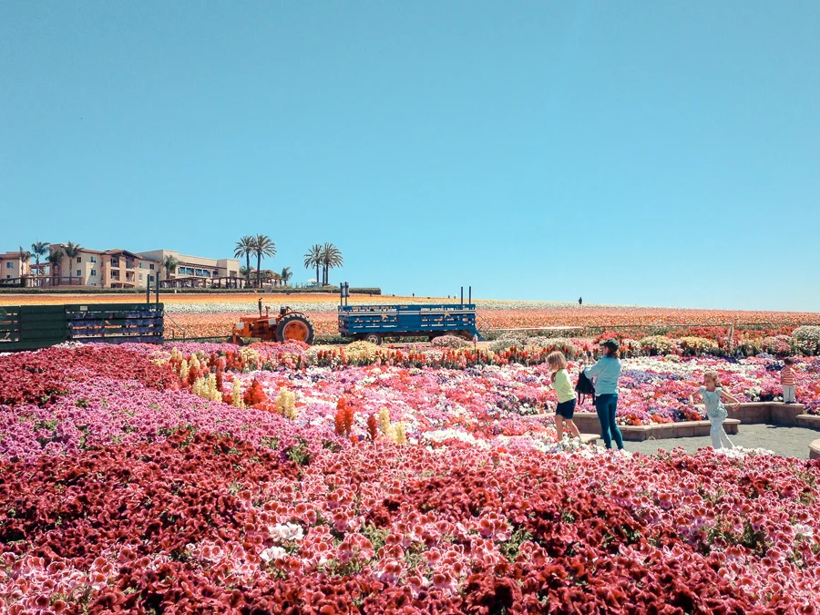 0053_2013-04-19 11.37.24.jpg