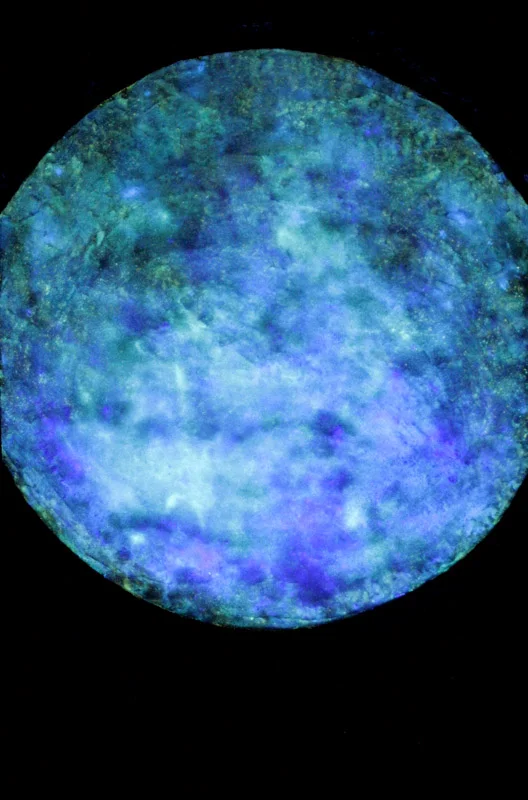 5. no light (glow in the dark)