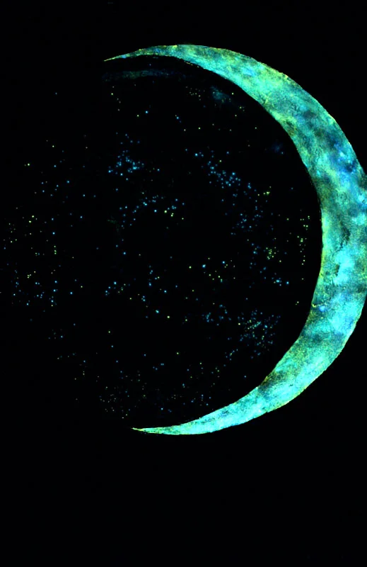 5. no light (glow in the dark)
