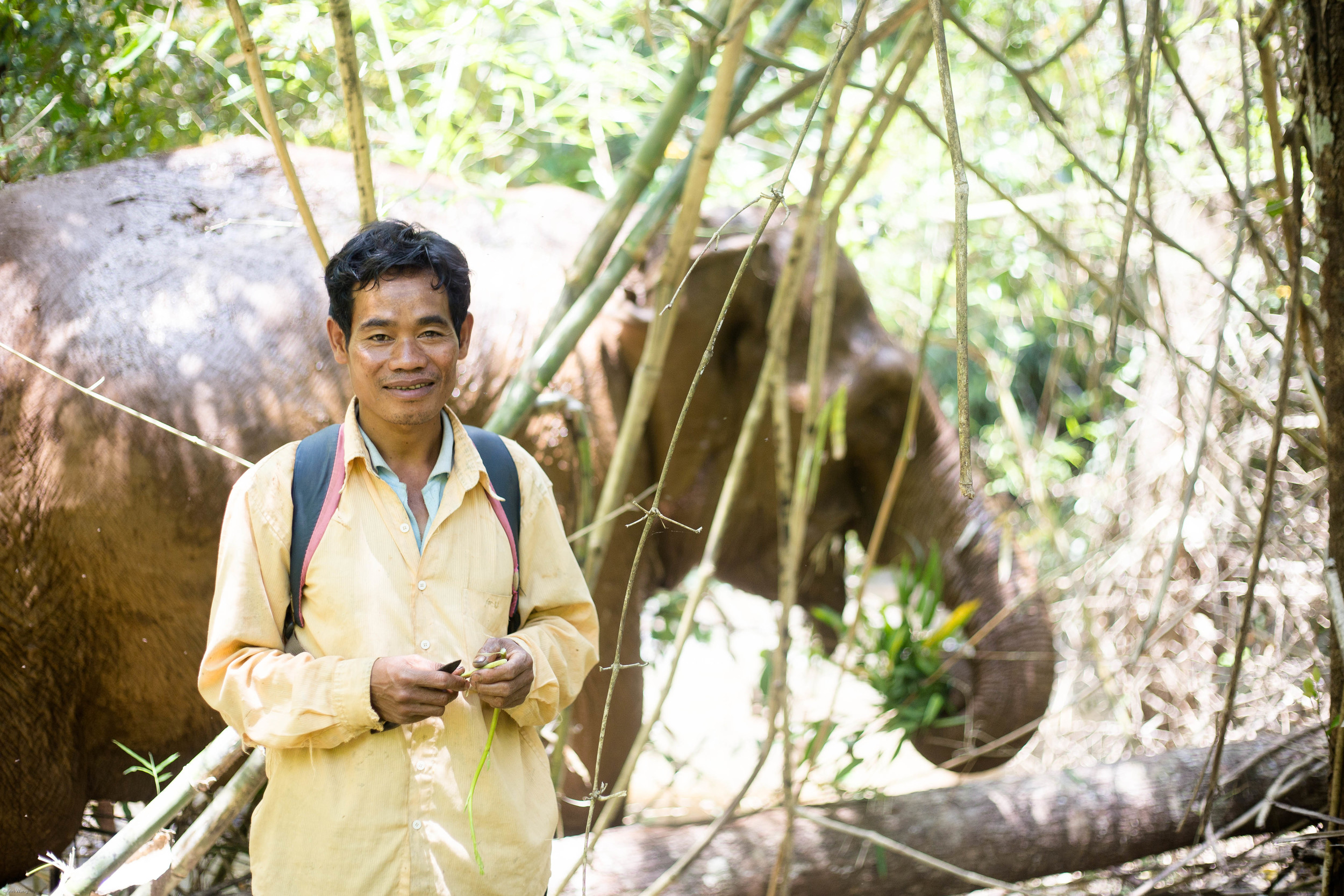  "The Mondulkiri Project" -Protecting the land from logging. Renting the elephant from the aboriginal village. Let the elephant walk freely in the protected land. Train aborigines to take care of the elephant or became a guide for "The Mondulkiri Pro