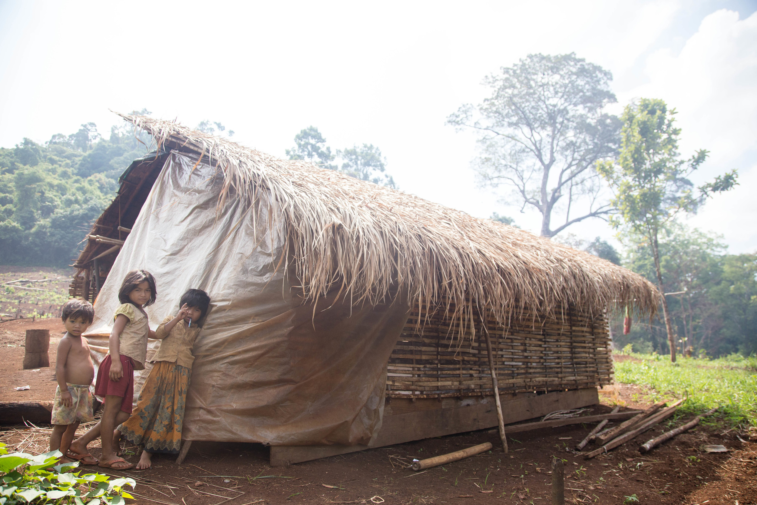  "The Mondulkiri Project" -Protecting the land from logging. Renting the elephant from the aboriginal village. Let the elephant walk freely in the protected land. Train aborigines to take care of the elephant or became a guide for "The Mondulkiri Pro