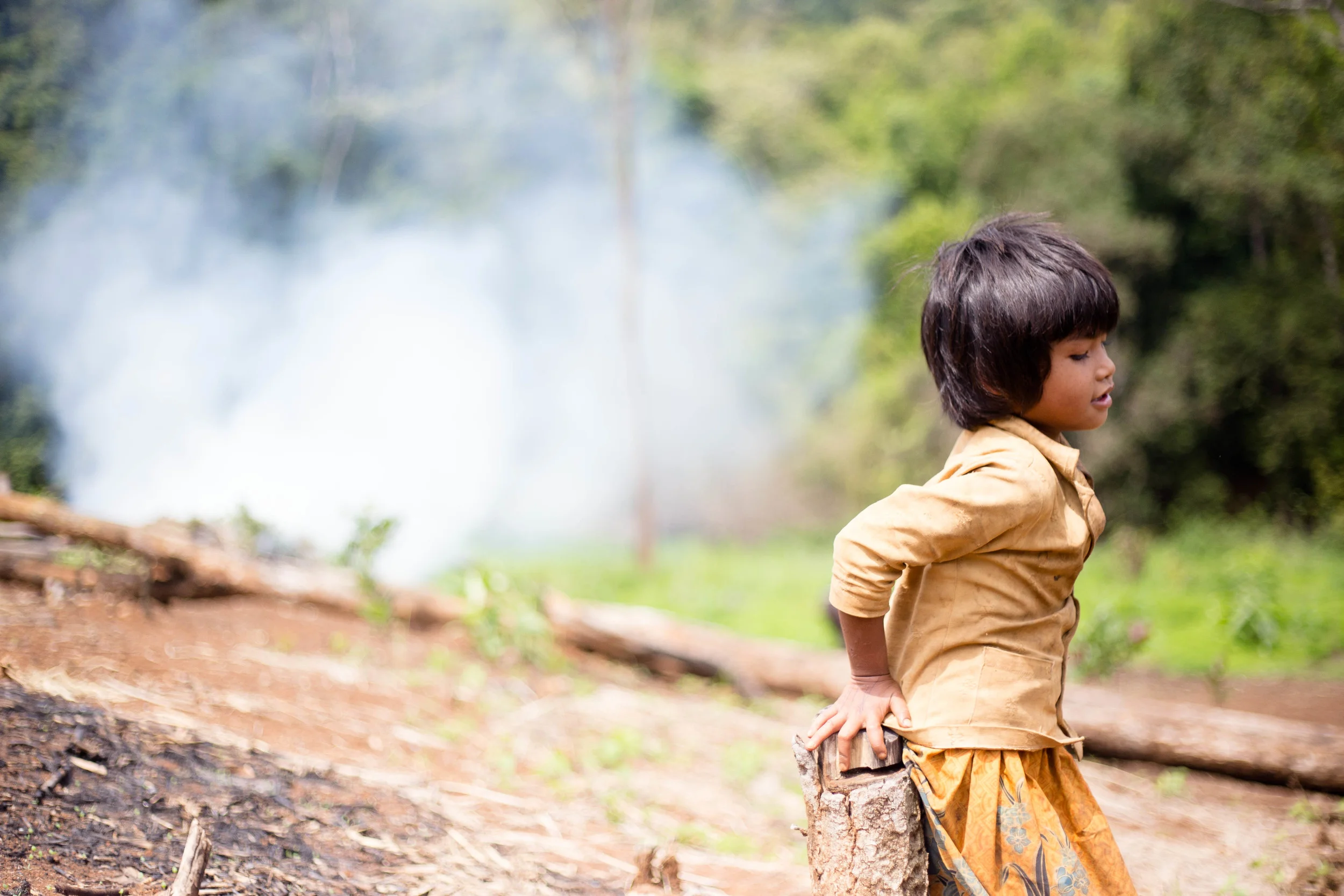  "The Mondulkiri Project" -Protecting the land from logging. Renting the elephant from the aboriginal village. Let the elephant walk freely in the protected land. Train aborigines to take care of the elephant or became a guide for "The Mondulkiri Pro