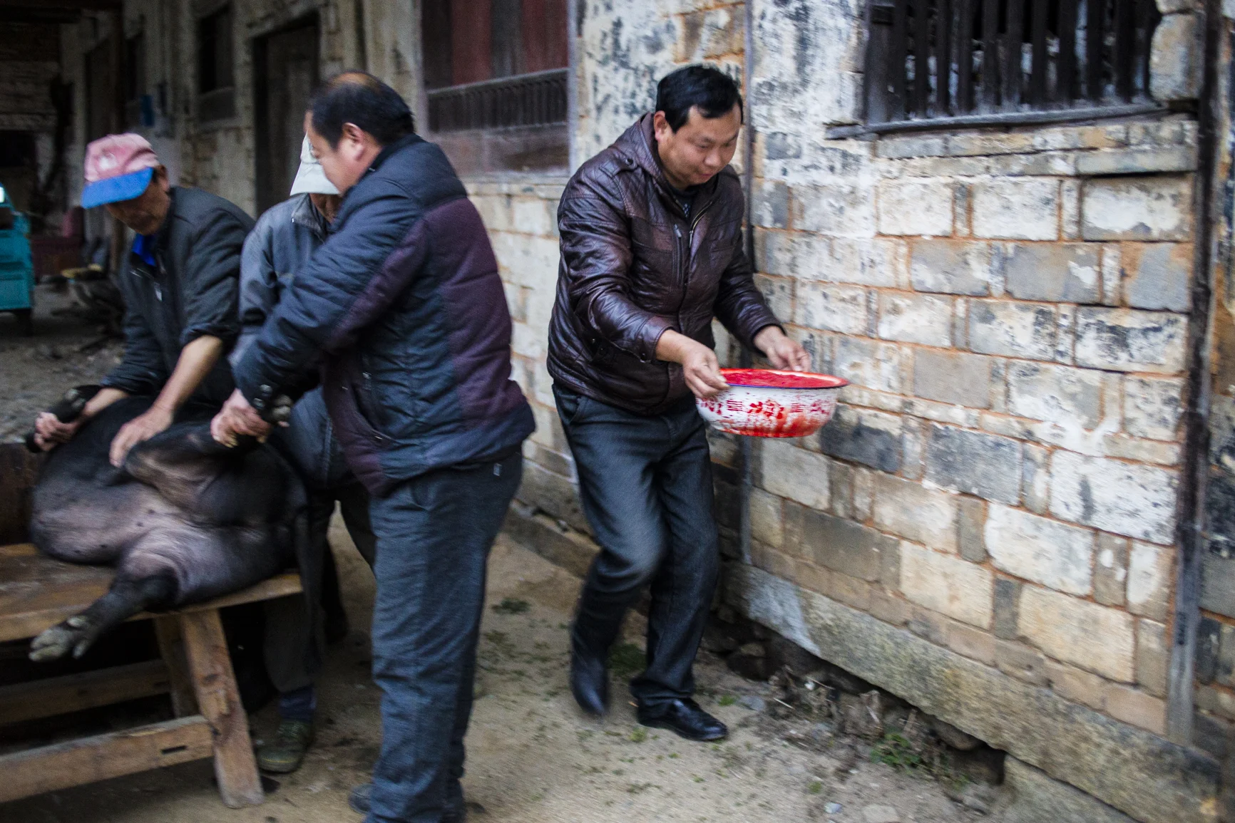 MG_0735 Villager carry the fresh blood from the pig. Photo by Ann Wang
