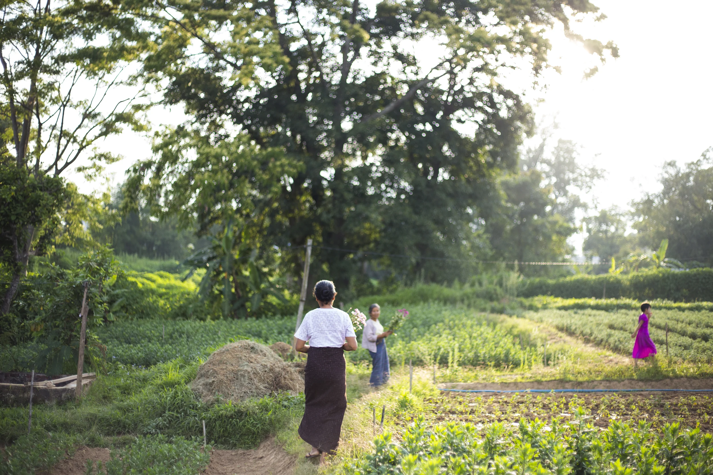 Myanmar summer 2014. Photo by Ann Wang