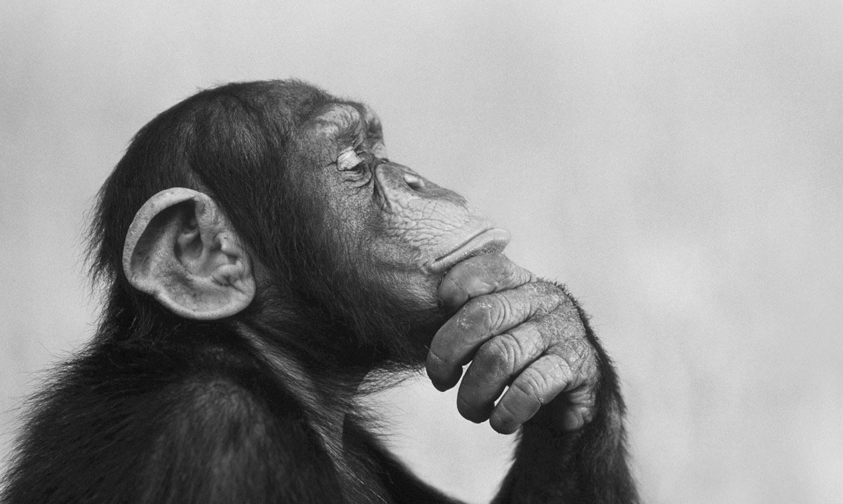 Thinker.jpg