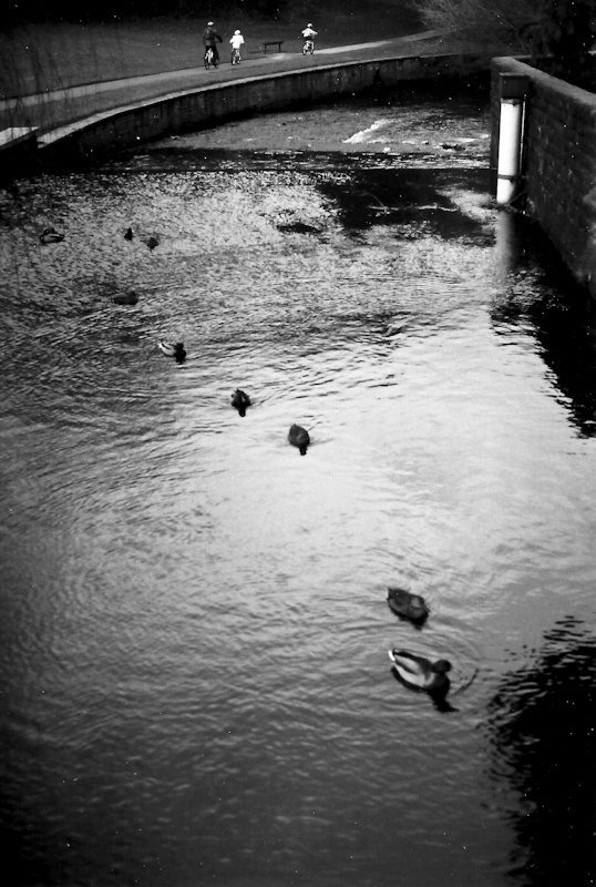 OM1 Scans-1.jpg