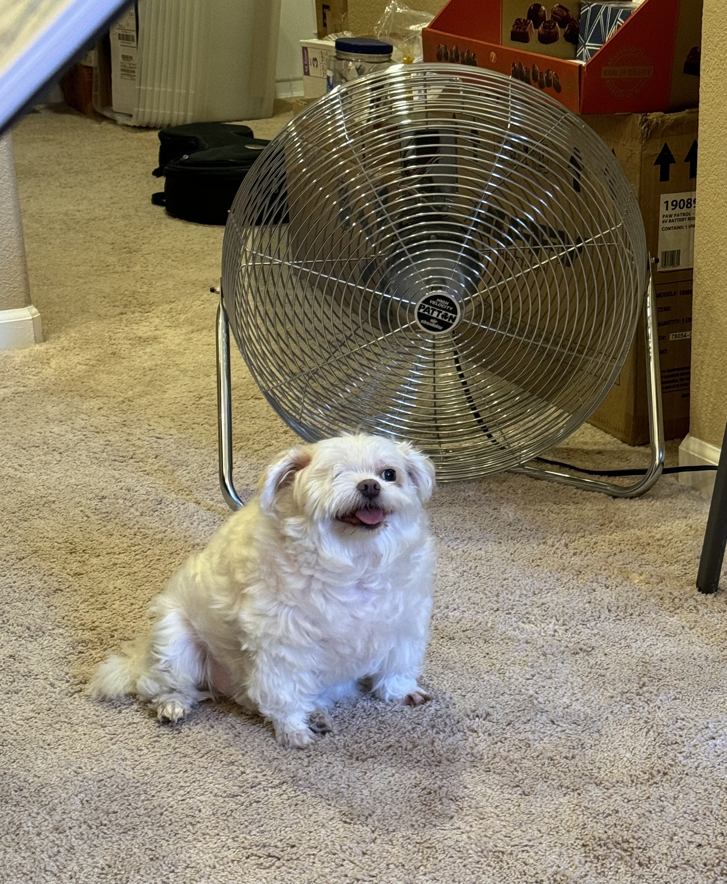 image0-4.jpeg