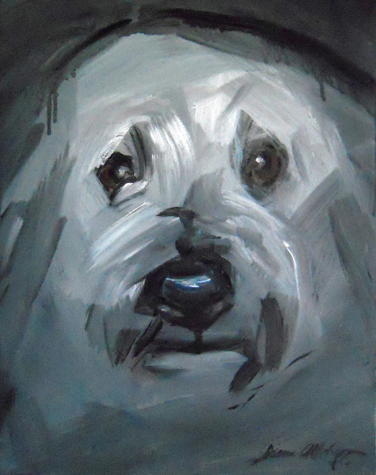  Rocky - Wheaten Terrier, oil on canvas. 