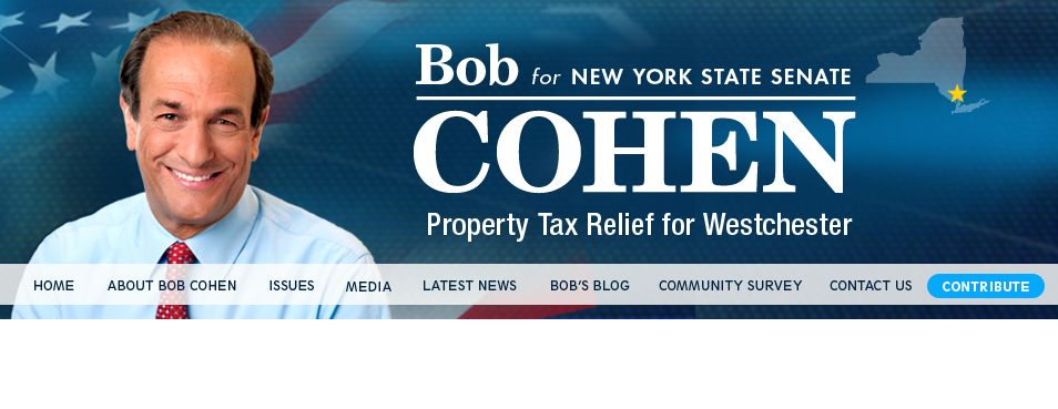  Bob Cohen Campaign web banner&nbsp; |&nbsp;  www.bobcohen2012.com   