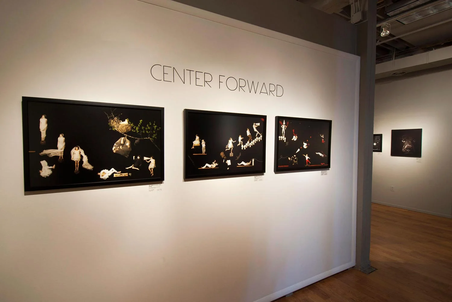 Center for Fine Art Photography, Ft. Collins, Colorado - Center Forward Show, images by photographer Kim Campbell