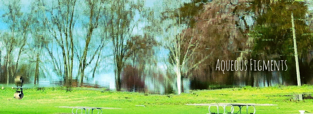 kim-campbell_fine-art-photographer_aqueous-figments.jpg