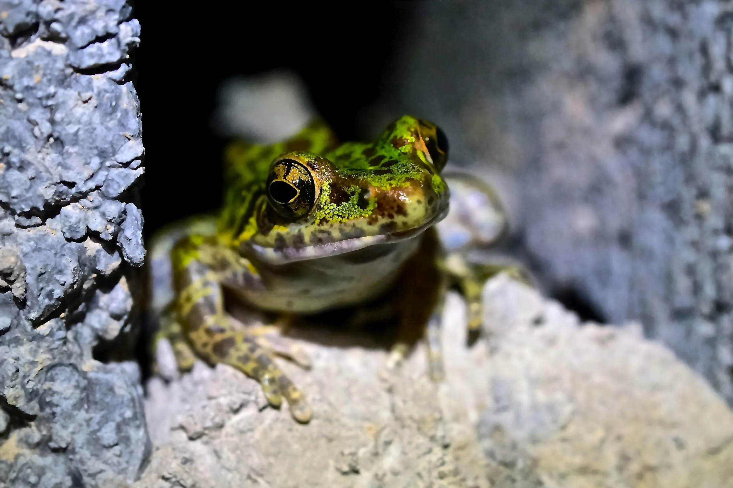 DSC07205.JPG