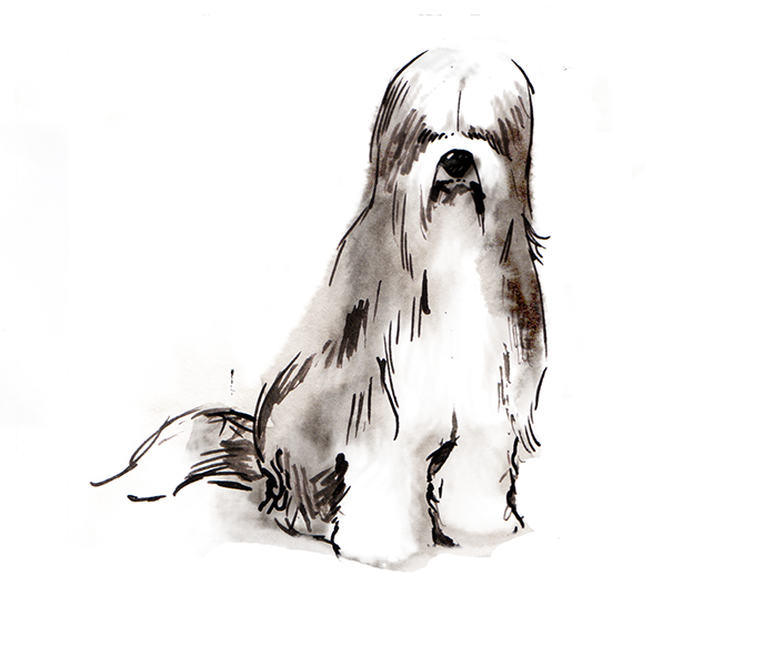 INK_MCA_01.png
