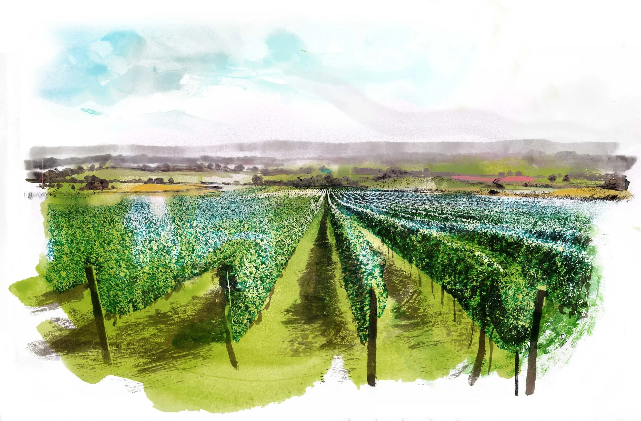 2016 - MT-Nyetimber_w1.jpg