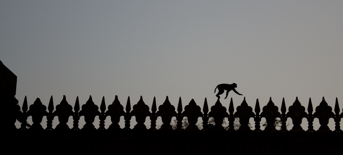 india_documentary_photography9.png