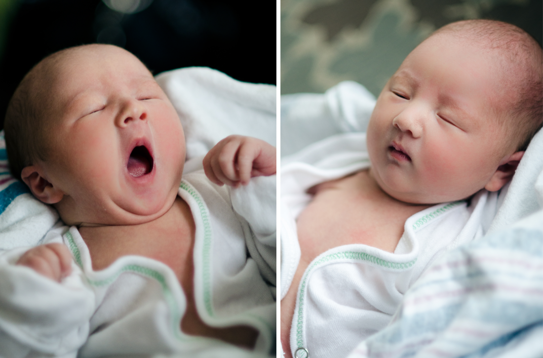 newbornportraits_chicago12.png