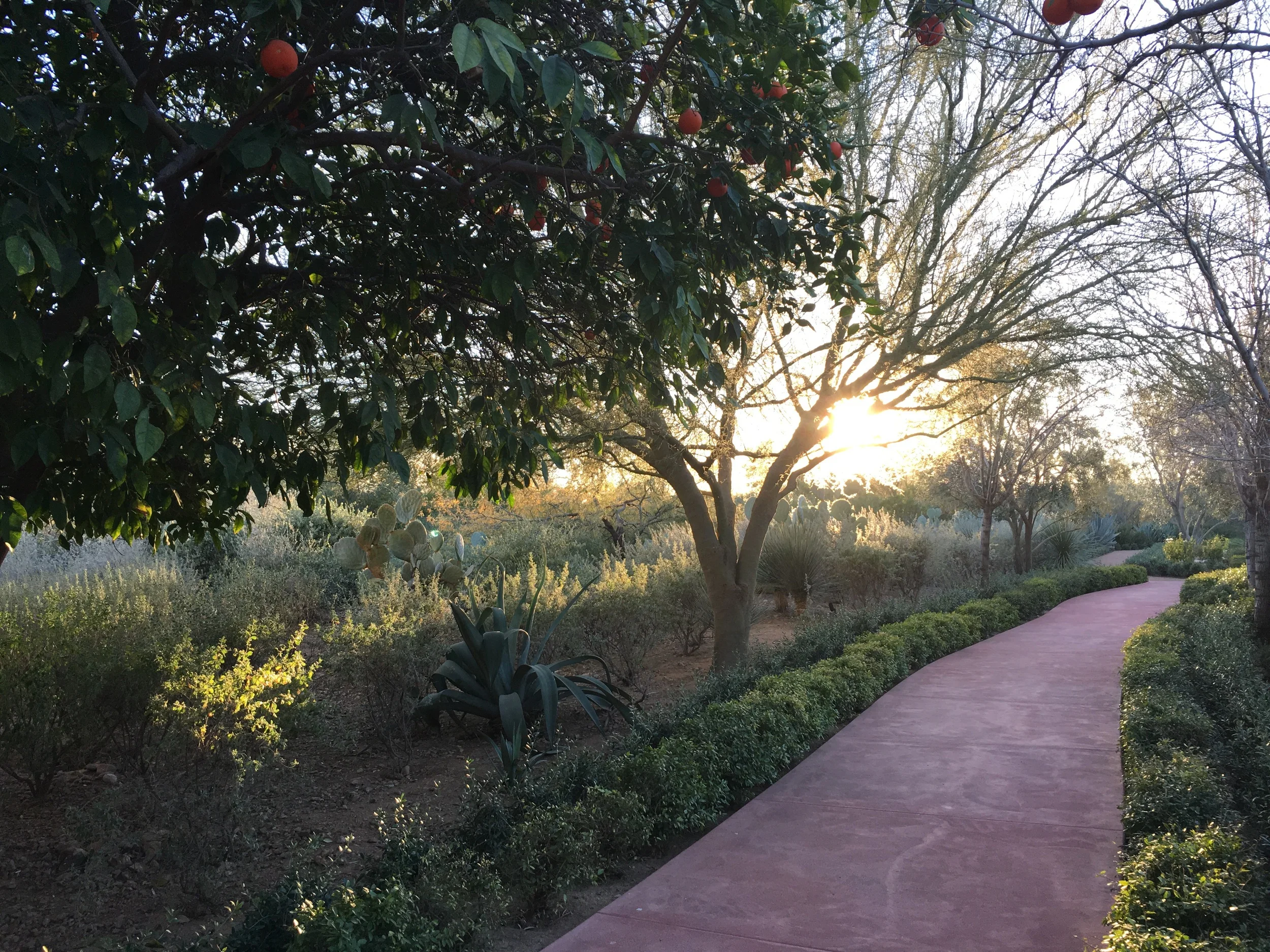 Desert light part 1. (El Chorro)