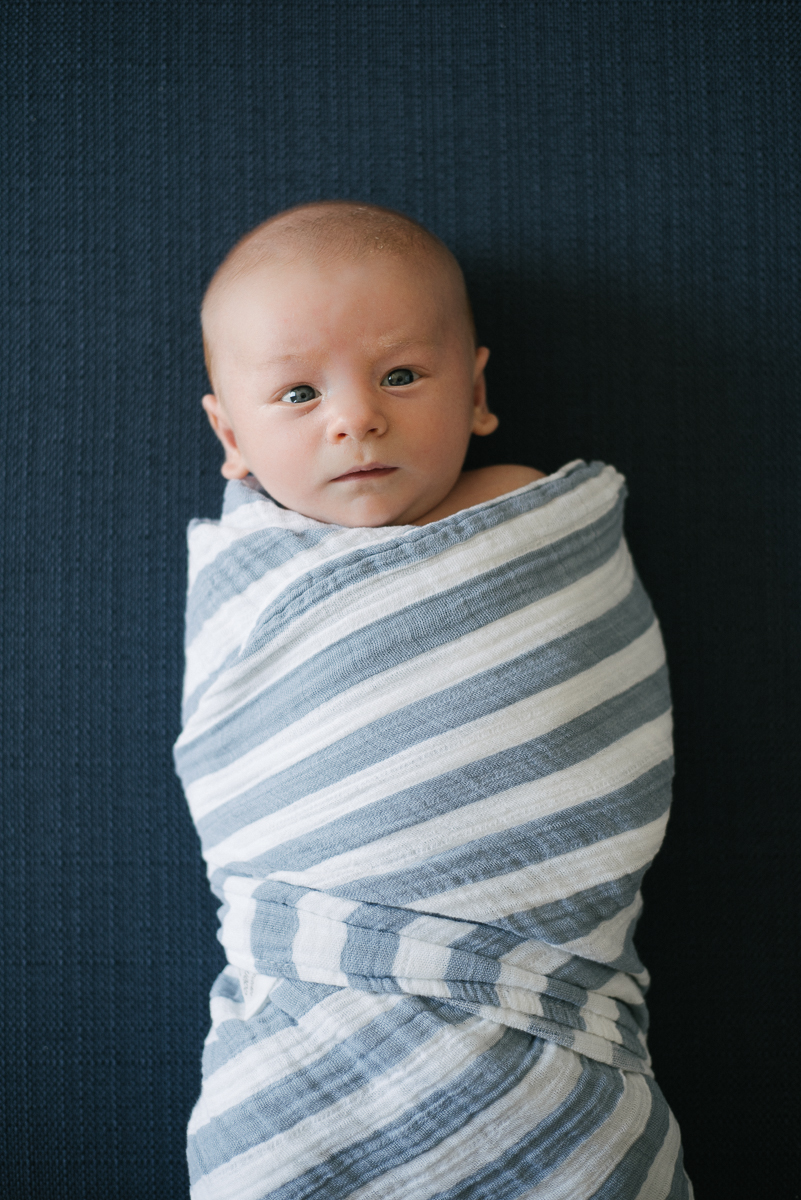 Chicago Newborn Portraits - WD-7.jpg