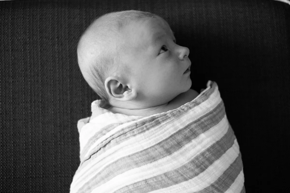 Chicago Newborn Portraits - WD-4.jpg