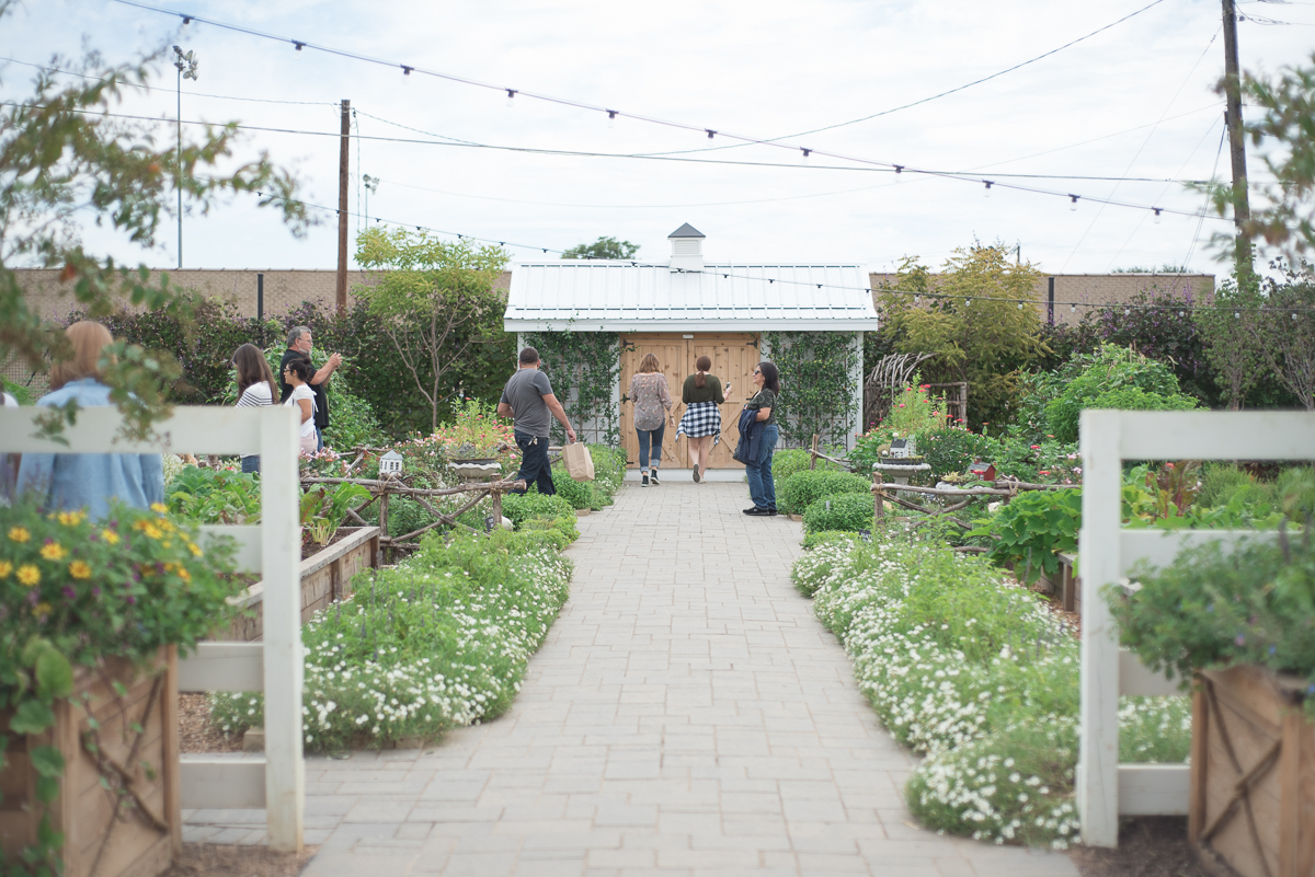 Magnolia Market Seed Supply Waco-23.jpg