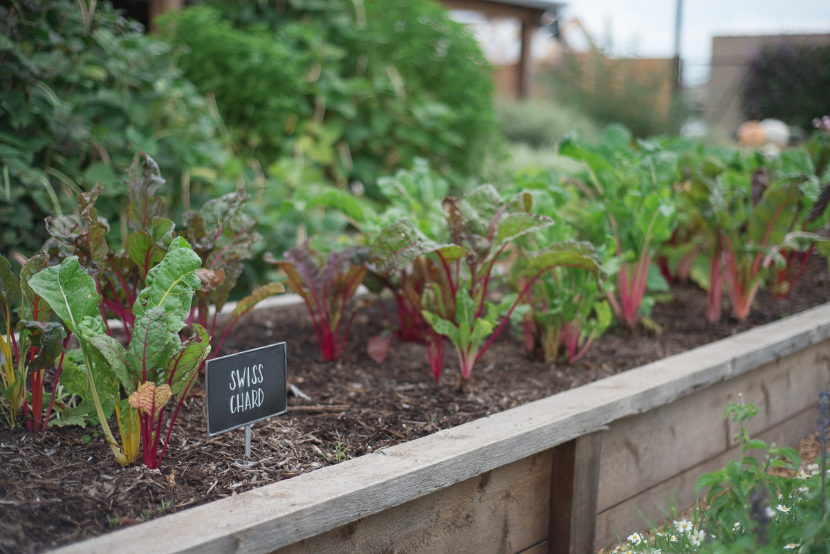 Magnolia Market Seed Supply Waco-24.jpg